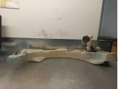 Recambio de deposito limpia para peugeot 605 2.0 referencia OEM IAM 9603995480  