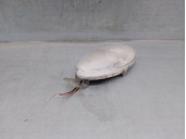 Recambio de luz interior para smart micro compact car 0.8 referencia OEM IAM 0000709V003000000  