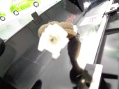 Recambio de luz central de freno para chevrolet aveo 1.4 cat referencia OEM IAM 96650606  