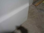 Recambio de puerta delantera izquierda para citroën jumper caja cerrada (1) 1.9 diesel cat referencia OEM IAM 9002AJ BLANCA ROTU