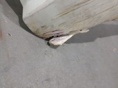 Recambio de paragolpes delantero para mercedes-benz clase c (w204) berlina 3.0 cdi cat referencia OEM IAM A20488575259999 A20488