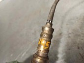 Recambio de sonda lambda para fiat panda (169) 1.2 8v classic referencia OEM IAM 55202416 
