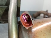 Recambio de filtro de particulas para audi q7 (4lb) 3.0 tdi quattro referencia OEM IAM 7L6131709E 7L6254401HX 7L6181CA