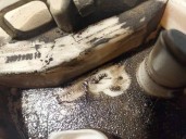 Recambio de aforador para bmw serie 5 berlina (e39) 3.5 v8 32v cat referencia OEM IAM 1183206 300998010 