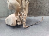 Recambio de deposito limpia para peugeot partner (s1) 1.9 diesel referencia OEM IAM 9642775480  