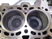 Recambio de bloque para bmw serie 3 berlina (e46) 2.0 16v diesel cat referencia OEM IAM 204D4 11110305614 86165620