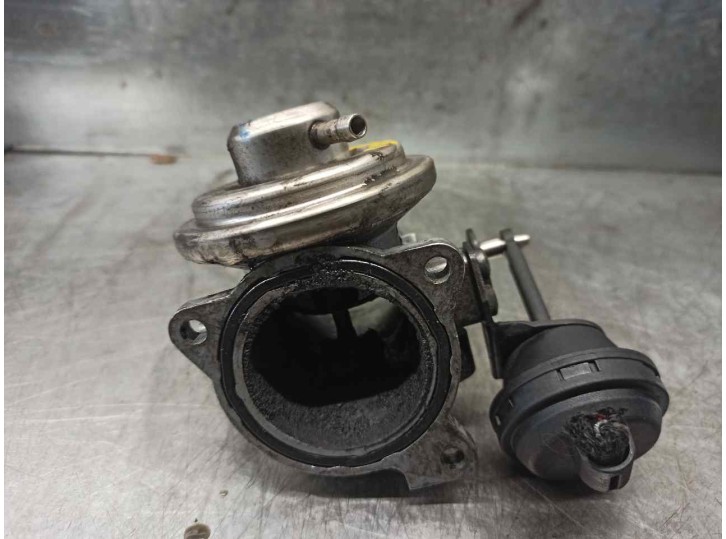 Recambio de valvula egr para seat ibiza (6k1) 1.9 tdi referencia OEM IAM 038129637  
