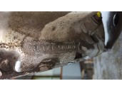 Recambio de caja cambios para opel sintra 3.0 v6 cat referencia OEM IAM 5042LE 97MW509953 50-42LE