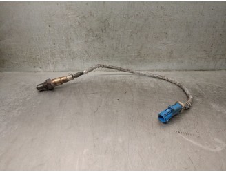 Recambio de sonda lambda para ford focus berlina (cap) 1.6 16v cat referencia OEM IAM 3M519G444BB 3M519G444BC 