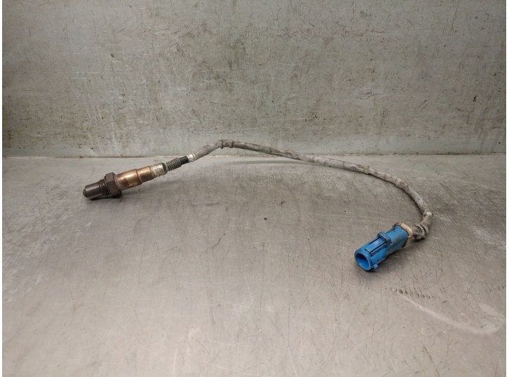 Recambio de sonda lambda para ford focus berlina (cap) 1.6 16v cat referencia OEM IAM 3M519G444BB 3M519G444BC 