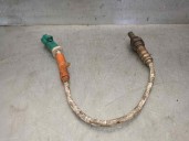 Recambio de sonda lambda para ford fiesta (ccn) 1.25 16v cat referencia OEM IAM AE81  