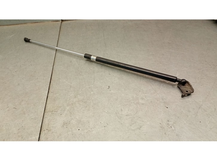 Recambio de amortiguadores capo para lexus rx (_u3_) 400h (mhu38_) referencia OEM IAM 5344049125 5344049125 