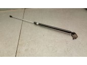 Recambio de amortiguadores capo para lexus rx (_u3_) 400h (mhu38_) referencia OEM IAM 5344049125 5344049125 