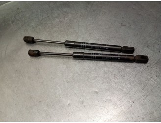 Recambio de amortiguadores capo para bmw 5 (f10) 530 d referencia OEM IAM 51234881653 51234881653 