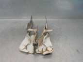 Recambio de bisagra capot para hyundai h 1 2.5 crdi cat referencia OEM IAM 791104A700 791204A700 