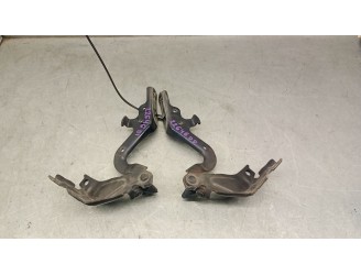 Recambio de bisagra capot para lexus is ii (_e2_) 220d (ale20) referencia OEM IAM 5341053020 5341053020 