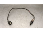 Recambio de sonda lambda para ford ecosport 1.5 ecoblue tdci referencia OEM IAM F1F19Y460DA 1914502 