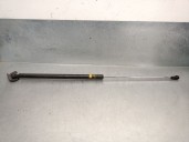 Recambio de amortiguadores capo para lexus rx (_u3_) 400h awd (mhu38_) referencia OEM IAM 5344049125 5344049125 