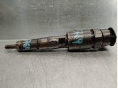 Recambio de inyector para citroën c3 1.4 hdi referencia OEM IAM 0445110252 0445110252 BOSCH