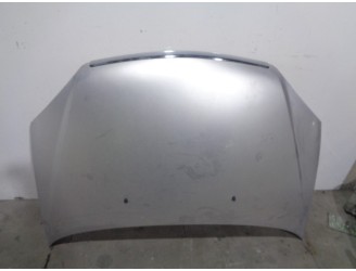 Replacement hood for Tata Indica 2006 1.4 (52 kW) OEM IAM reference 4274171 GREY 