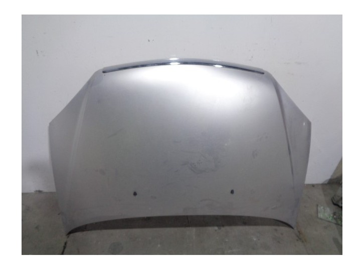 Replacement hood for Tata Indica 2006 1.4 (52 kW) OEM IAM reference 4274171 GREY 
