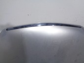 Replacement hood for Tata Indica 2006 1.4 (52 kW) OEM IAM reference 4274171 GREY 