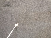 Recambio de bandeja trasera para bmw 5 (f10) 530 d referencia OEM IAM 7222131 51477222131 