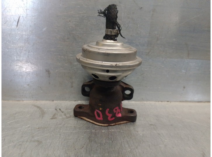 Recambio de valvula egr para volkswagen passat berlina (3b2) 1.9 tdi referencia OEM IAM 028131501E 72172303 PIERBURG