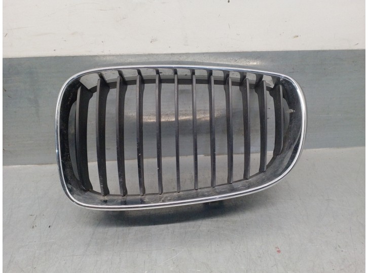Recambio de rejilla delantera para bmw serie 1 cabrio (e88) 2.0 turbodiesel cat referencia OEM IAM 51137322209 IZQUIERDA 