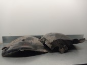 Recambio de paso rueda delantero izquierdo para volkswagen crafter 2.0 tdi referencia OEM IAM A9066840277 CESTA 11 C