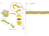 Recambio de tubo para ford puma 1.0 ecoboost cat referencia OEM IAM L1B19C623AC FOMOCO