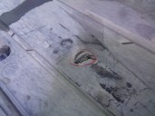 Recambio de cubrecarter para volkswagen golf vii lim. (bq1) 1.6 tdi referencia OEM IAM 5Q0825202L 5Q0825272A CESTA 39