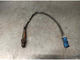 Recambio de sonda lambda para ford focus berlina (cap) ghia referencia OEM IAM 3M519G444BB 0258006601 BOSCH