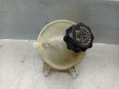 Recambio de deposito expansion para citroën c8 2.0 hdi cat (rhk / dw10uted4) referencia OEM IAM 031400474380 1323AC 