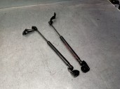 Recambio de amortiguadores capo para chevrolet captiva (c100, c140) 2.0 d 4wd referencia OEM IAM 96830124 96830124 