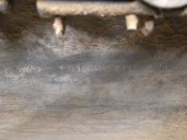 Recambio de molduras delanteras para ford explorer 4.0 v6 cat referencia OEM IAM F37D78103B70ADW 