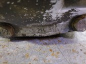 Recambio de diferencial trasero para bmw 5 (e39) 525 tds referencia OEM IAM 1428488 33101428489 2.64