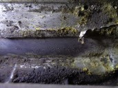 Recambio de caja cambios para alfa romeo 145 1.6 16v cat referencia OEM IAM 18007337825 46772670 