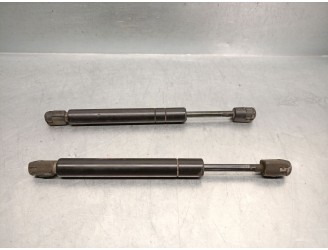 Recambio de amortiguadores capo para ford usa explorer (u2, u_) 4.0 v6 4wd referencia OEM IAM F87B16C826AA F67Z16C826AB 