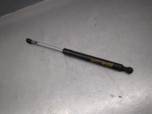 Recambio de amortiguadores capo para renault clio iv 1.5 dci diesel fap energy referencia OEM IAM 654703934R 