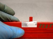 Recambio de luz central de freno para volkswagen taigo (cs1) 1.0 tsi referencia OEM IAM 8V0945097D 8V0945097D 