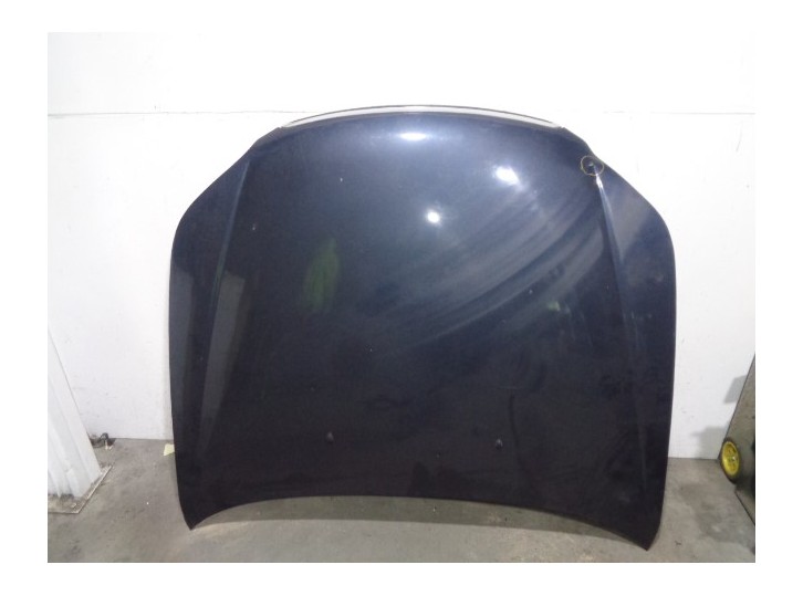 Replacement hood for Chevrolet Epica 2.0 Diesel CAT OEM IAM reference 96636344 BLUISH GREY 