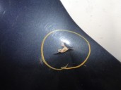 Recambio de capot para chevrolet epica 2.0 diesel cat referencia OEM IAM 96636344 GRIS AZULADO 