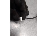 Recambio de mando para bmw serie 7 (f01/f02) 3.0 turbodiesel referencia OEM IAM 61319188877  