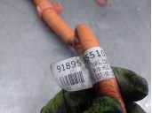 Recambio de cableado para kia niro referencia OEM IAM 91895G5510 91895G5510 