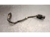 Recambio de sonda lambda para peugeot expert furgoneta (222) 2.0 hdi referencia OEM IAM 9887161080 0281004157 BOSCH