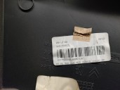 Recambio de guarnecido puerta delantera izquierda para citroën c2 1.4 hdi referencia OEM IAM 96515556ZL 3 PUERTAS