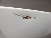 Recambio de capot para iveco daily chasis- cabina (1999 =>) 2.8 diesel cat referencia OEM IAM 99471666 99471666 