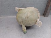 Recambio de deposito expansion para hyundai tucson (nx4e, nx4a) 1.6 t-gdi referencia OEM IAM 25430N7200 25430N7200 