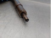 Recambio de inyector para chrysler voyager (rg) 2.5 crd cat referencia OEM IAM 0445110059 0445110059 BOSCH